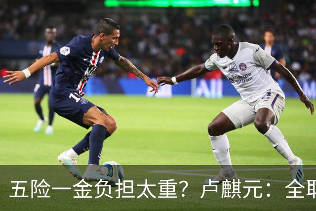 五险一金负担太重？卢麒元：全取消，征房产直接税，经济才会正常