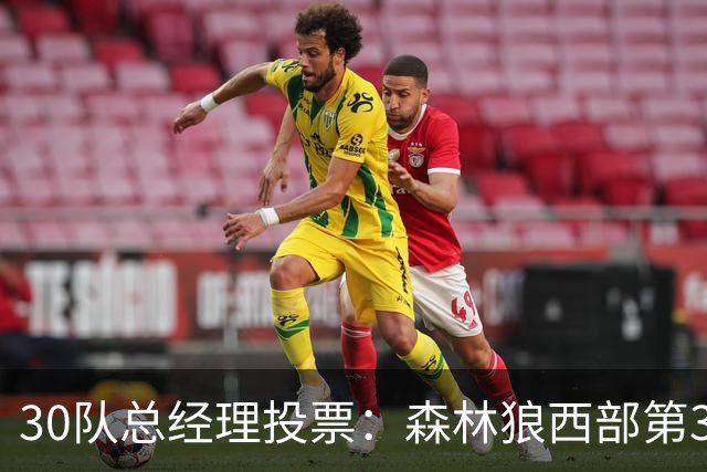 30队总经理投票：森林狼西部第3，却又被选为最难预测